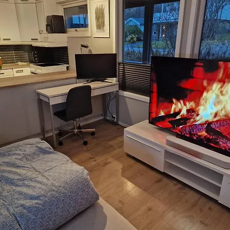 Apartment Cozy Near The